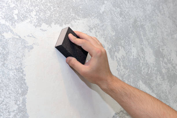 Best Dehumidification Services  in Naugatuck, CT