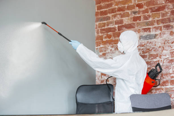 Best Mold Remediation for Healthcare Facilities  in Naugatuck, CT