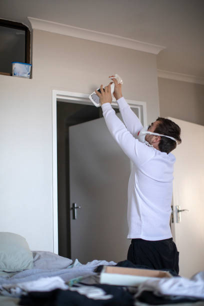 Environmental Consulting for Mold Prevention in Naugatuck, CT