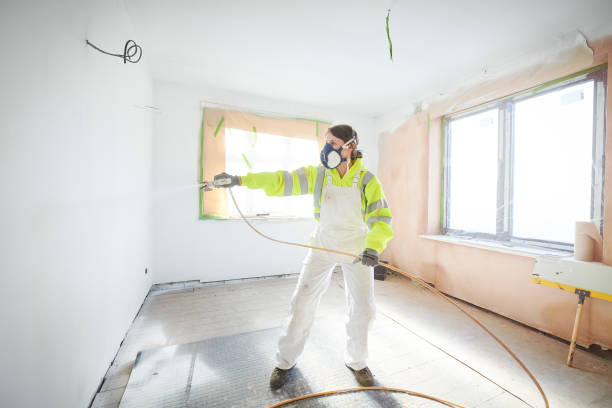 Best Attic Mold Removal  in Naugatuck, CT