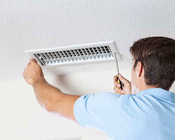Best Black Mold Removal  in Naugatuck, CT
