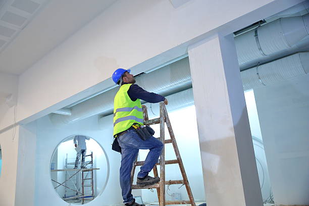 Best Emergency Mold Remediation  in Naugatuck, CT