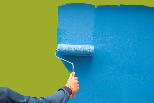 Best Mold Damage Restoration  in Naugatuck, CT